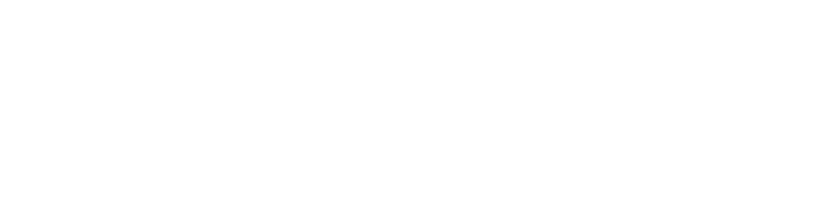 Brinqa logo