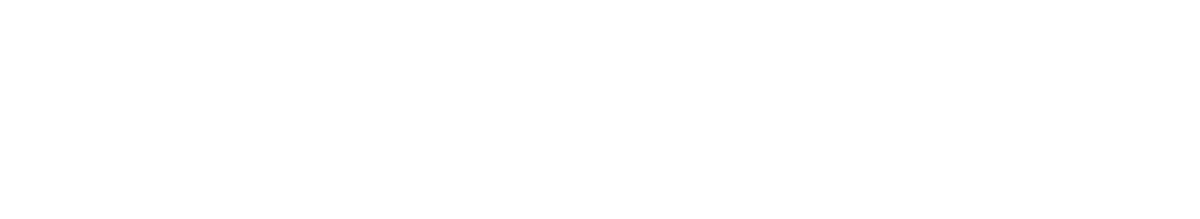 Intruder logo