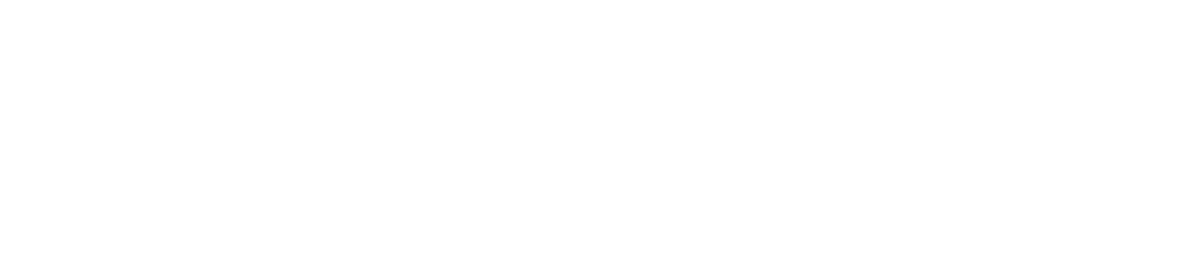 NinjaOne logo