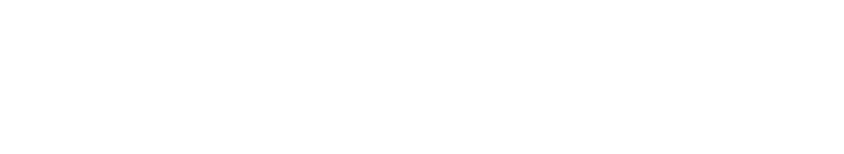Nucleus Security logo