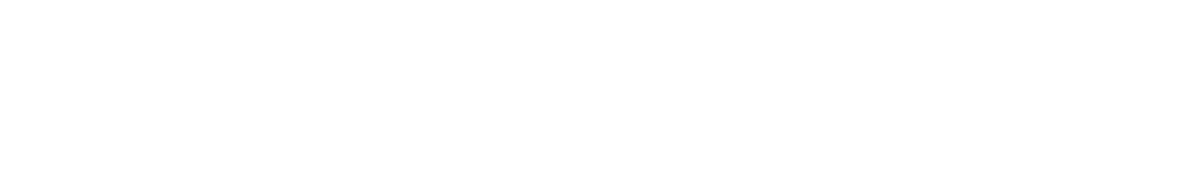 Seemplicity logo